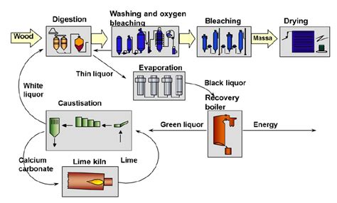 Kraft Process Diagram