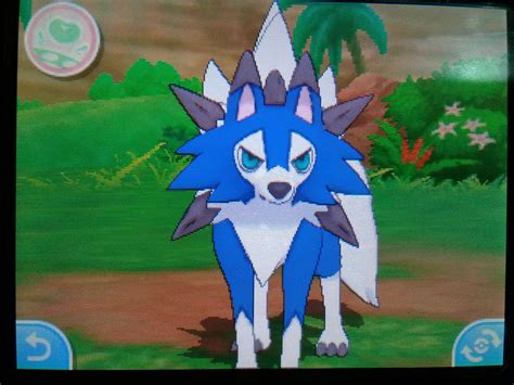 [7]Just Hatched This Bad Boii !! Shiny Dusk Lycanroc looks ultra same on the midday Lycanroc ...