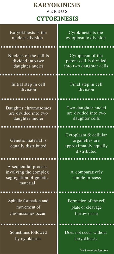 Difference Between Karyokinesis and Cytokinesis | Definition, Mechanism, Comparison ...