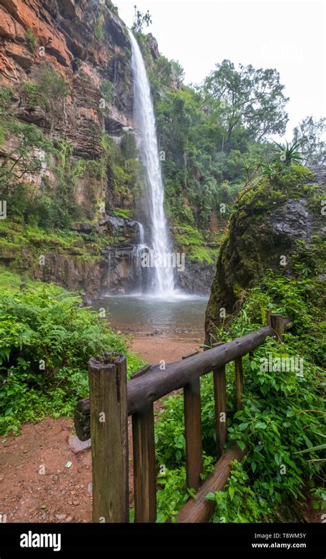 Lone Creek Falls, dramatic waterfalls in forested area in the Blyde ...