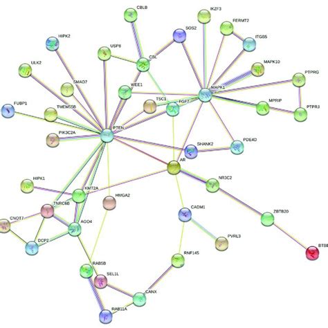 Protein-protein interaction analysis representing the interaction ...