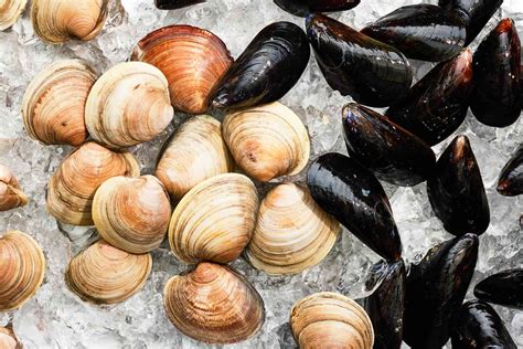 Clams vs. Mussels: What’s the Difference?