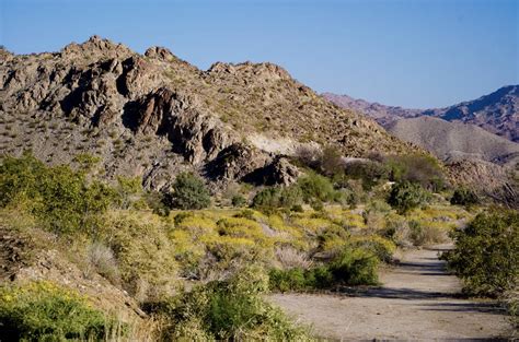 13 Books About the Desert to Add to Your Reading List - Gay Desert Guide Palm Springs