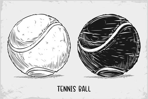 Hand drawn Tennis ball sketch isolated on white background, Detailed vintage etching drawing ...