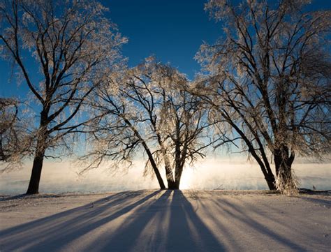 Ice Storm 2013-The Beauty in the Landscape - Steven Vandervelde Photography