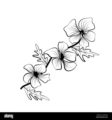 Black outlines of flowers. Flower icon. Vector outline illustration ...