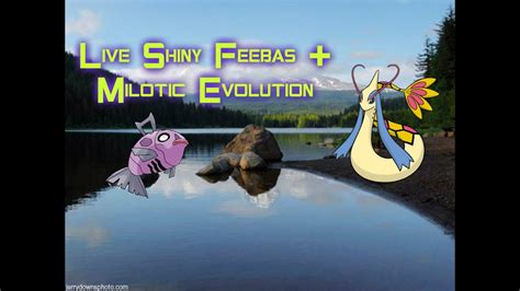 Live Shiny Feebas + Milotic Evolution - YouTube