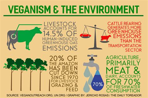 The Effects Of Climate Change And How A Vegetarian Diet Can Help ...