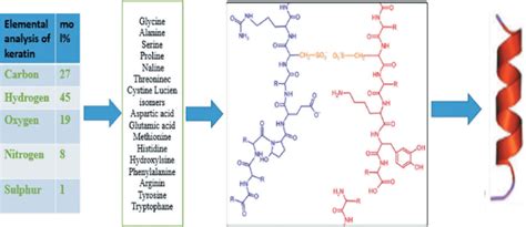 Chemical structure of keratine. | Download Scientific Diagram