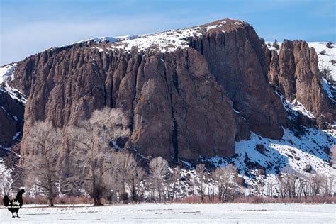 Day Trips in Gunnison Colorado – Dan330