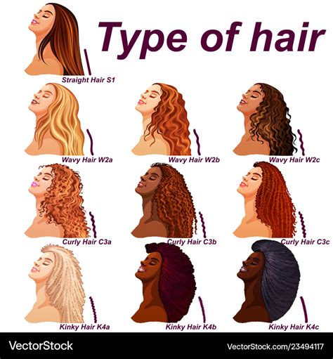 Types Of Curly Hair Chart - Home Interior Design