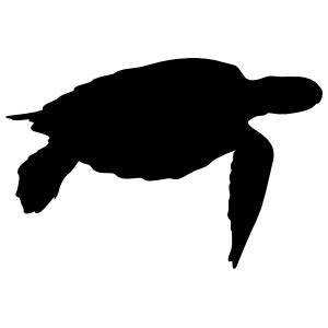 Turtle Stickers & Car Decals – Over 60 Unique Designs