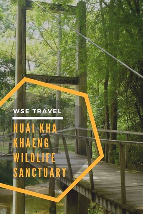 Visit Thailand’s Huai Kha Khaeng Wildlife Sanctuary in 2024