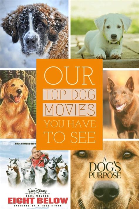 6 Most Incredible Dog Movies Of All Time 2019 - Our Personal Favourites