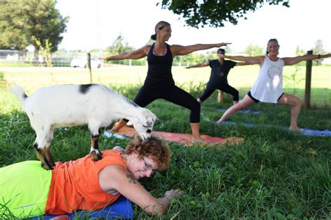 Yoga moves off the mat with aerial yoga, goat yoga | Carlisle | cumberlink.com