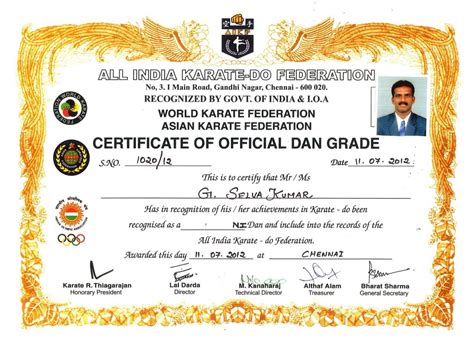 Get Our Printable Karate Certificate Template | Certificate templates, Gift certificate template ...