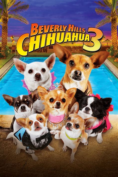 Beverly Hills Chihuahua 3: Viva la Fiesta! (2012) - Posters — The Movie ...