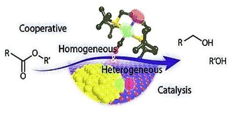 Differences between Homogeneous Catalysis and Heterogeneous Catalysis ...