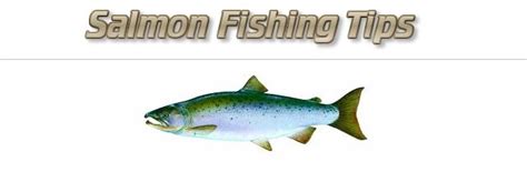 Best Salmon Fishing Trips (Destinations) | Ultimate Fishing Site