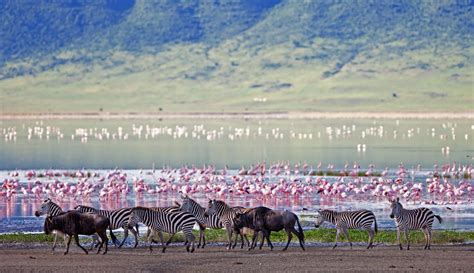 Sanctuary Ngorongoro Crater Camp | Bench Africa