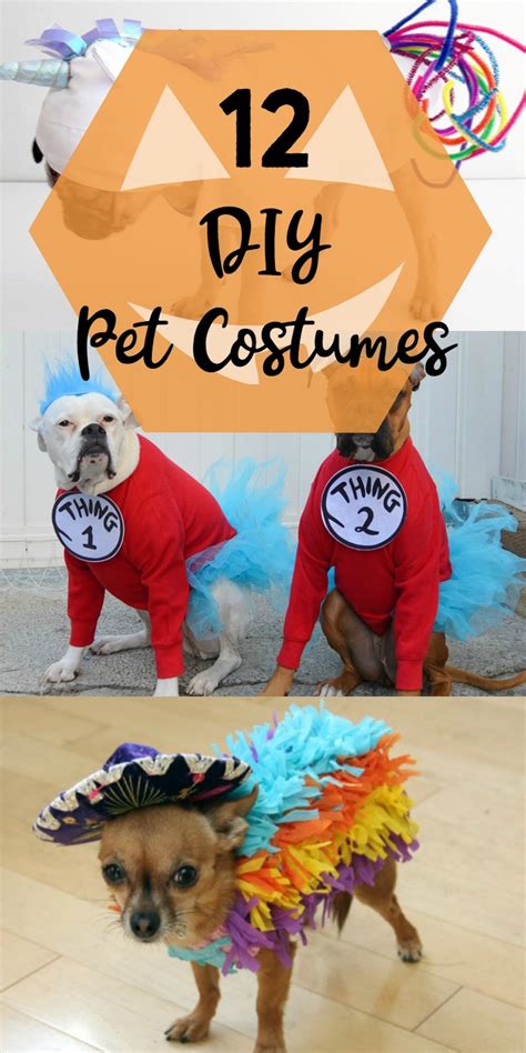 12 DIY Pet Costumes | Yesterday On Tuesday