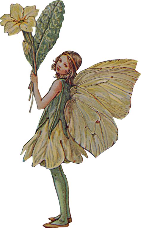 Fairy The book of the flower fairies Pixie - Fairy png download - 705* ...