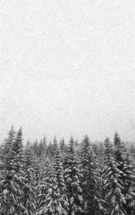 Fresh Winter Black and White Wallpaper