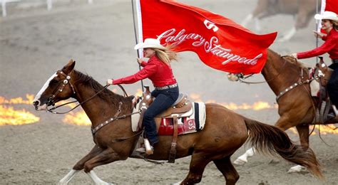 Calgary Stampede 2020 - Blazing Saddle Western Display