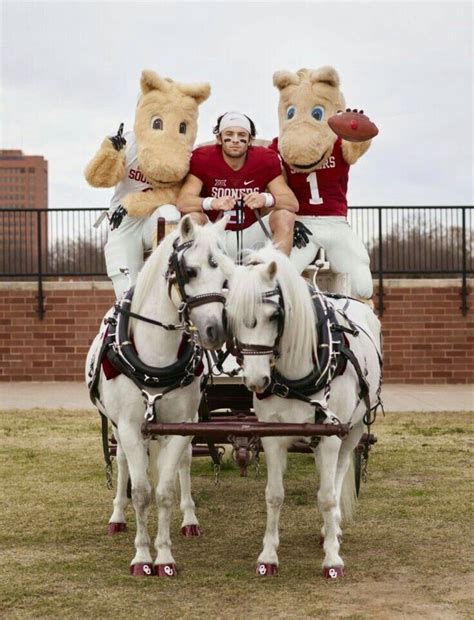 Pin by Sallie McGuire on OU | Oklahoma sooners, Ou sooners football ...