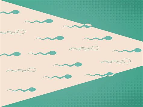 Why is male fertility declining? | The Week