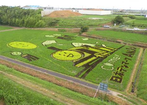 2010 Rice Field Art: Inakadate, Japan – Daily Art Fixx