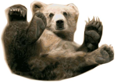 Clipart - Grizzly Bear 1