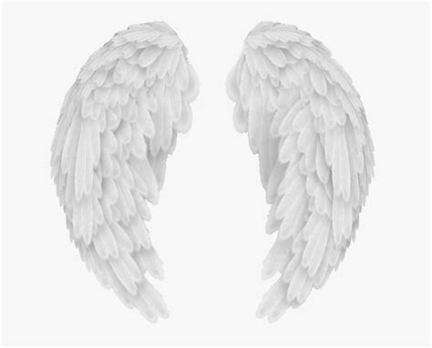 Angel Wings Png Baby Angel Wings Background - Transparent Background ...