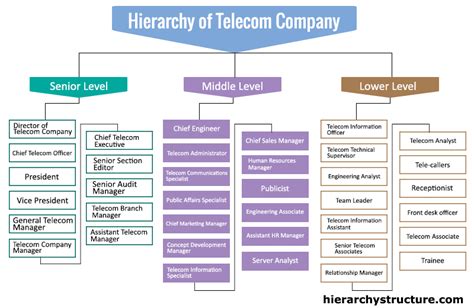 Telecom Company Hierarchy Chart | Hierarchystructure.com