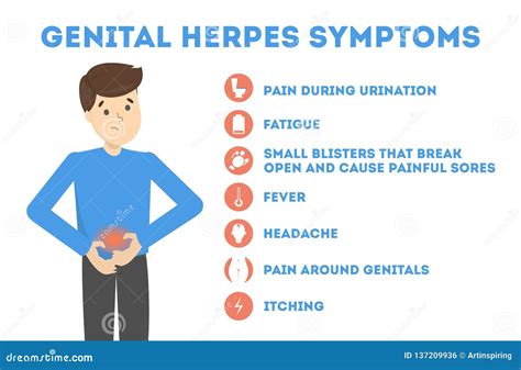 Genital Herpes Symptoms. Infectious Dermatology Disease Illustration ...