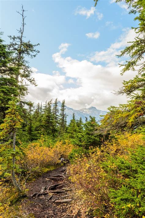 Hiking Trail in Skagway, Alaska Stock Photo - Image of fall, scene ...