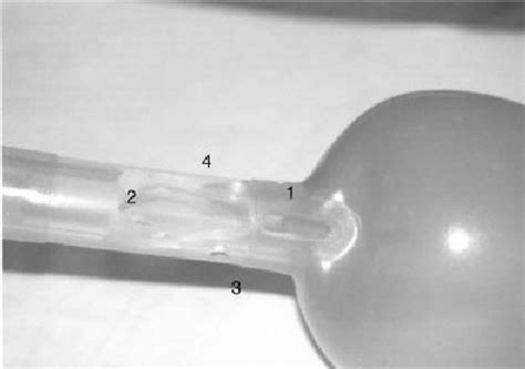 The laryngeal tube. (1 and 2) Distal and proximal airway ori®ces. (3... | Download Scientific ...