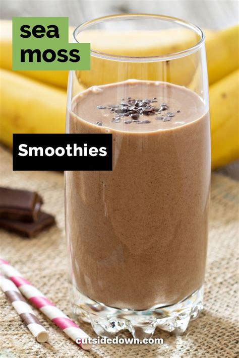 Sea Moss Smoothie Ideas: Smoothies - Drinks - Cutsidedown.com | Recipe ...