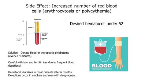 What Can Cause High Hematocrit Levels - Peter Brown Bruidstaart