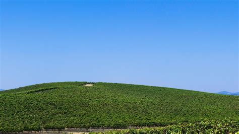 Windows XP Bliss: Man reveals California location of desktop background ...