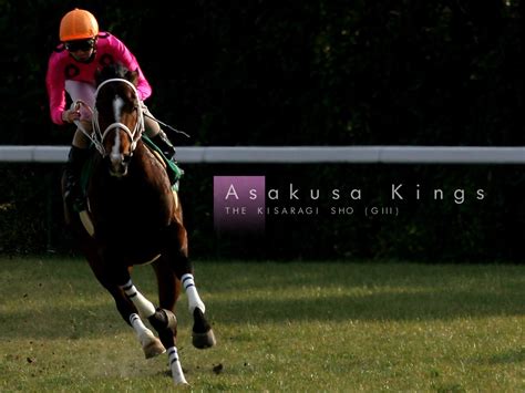 Japanese Horse Racing.. - XciteFun.net