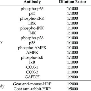 Antibodies for western blot analysis. | Download Scientific Diagram