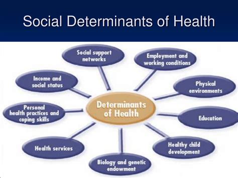 10 Social Determinants Of Health