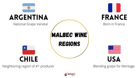 19 BEST Malbec Wine Under $30 & $100 | France or Argentina?