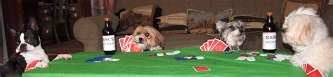 Dogs Playing Poker - Carolyn Dube