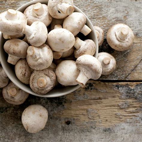 White Button Mushrooms / Agaricus macrocarpus - Organic Mushroom Dry Mycelium - Shipping is free ...