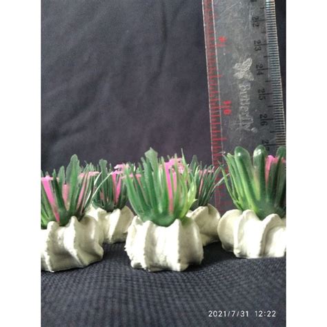 Jual bunga hias aquarium rumput | Shopee Indonesia