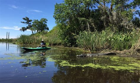 Lacombe 2021: Best of Lacombe, LA Tourism - Tripadvisor