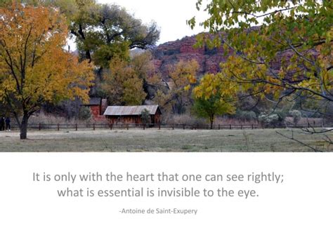 Inspirational Quote About The Heart Free Stock Photo - Public Domain ...