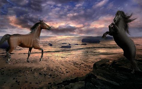 🔥 [90+] Horses on Beach Wallpapers | WallpaperSafari